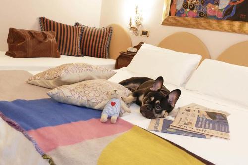 Fotos del hotel - ANGEL HOTEL