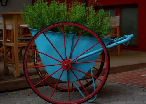Fotos del hotel - Il Girasole High Quality Inn