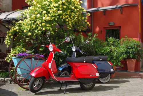 Fotos del hotel - Il Girasole High Quality Inn