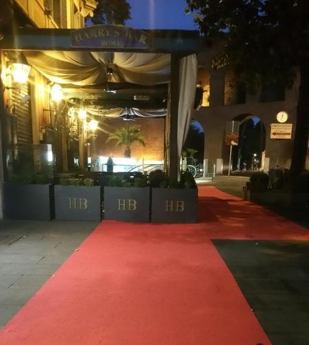 Fotos del hotel - Martina House