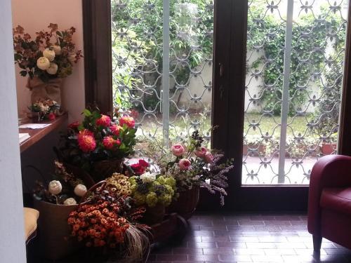 Fotos del hotel - Casa Calicantus