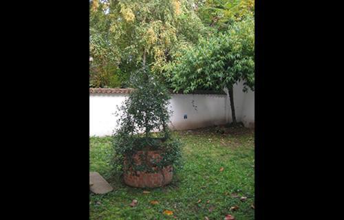 Fotos del hotel - Casa Calicantus