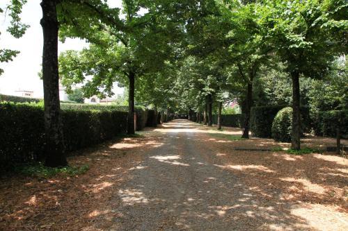 Fotos del hotel - B&B Rovezzano