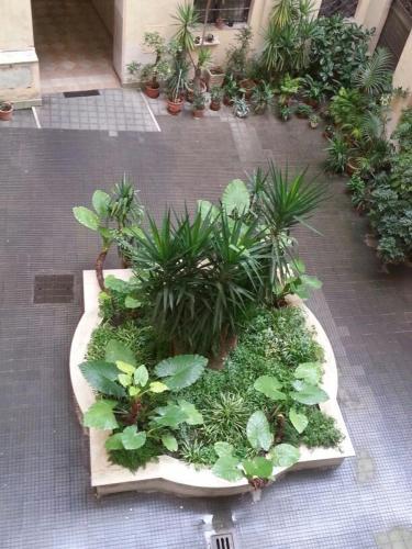 Fotos del hotel - ALOHA ROME