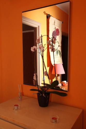 Fotos del hotel - Roma Gianicolense