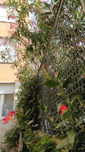 Fotos del hotel - Residence Giusti 6