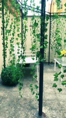 Fotos del hotel - BOARDING HOUSE INTERNATIONAL