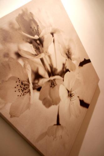 Fotos del hotel - BED ROOMS ROME