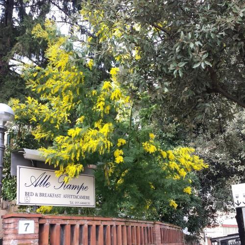 Fotos del hotel - Villa Alle Rampe