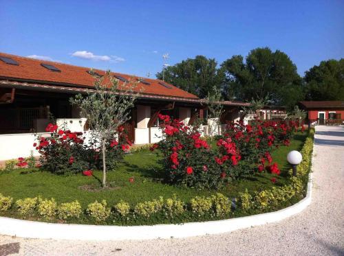 Fotos del hotel - RESIDENCE CENTRO BENIGNI