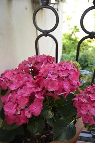 Fotos del hotel - Chez Moi B&B