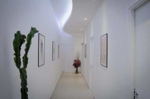 Fotos del hotel - CASTELLANI A SAN PIETRO