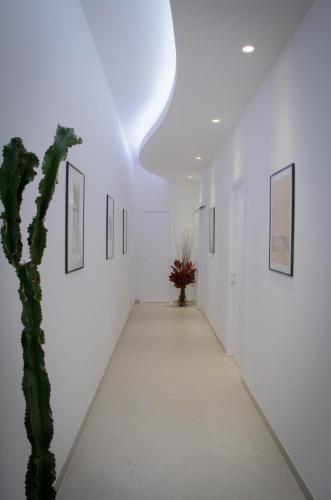 Fotos del hotel - CASTELLANI A SAN PIETRO