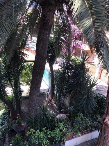 Fotos del hotel - Il Tempio di Morfeo