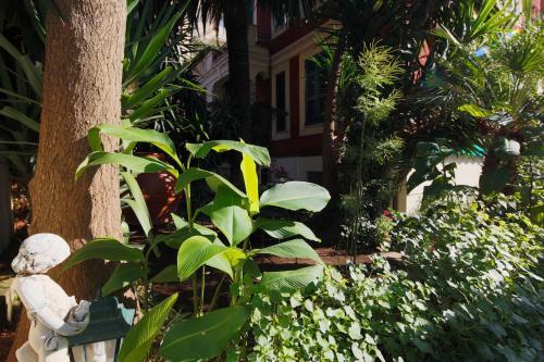 Fotos del hotel - Il Tempio di Morfeo