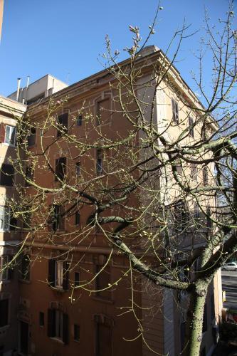 Fotos del hotel - B and B T and V House