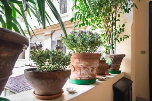 Fotos del hotel - BeMyGuest