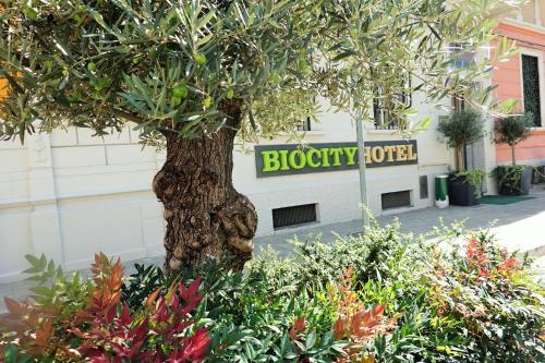 Fotos del hotel - Biocity