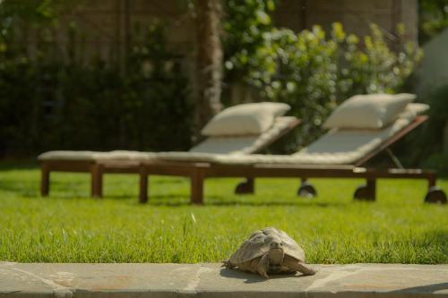 Fotos del hotel - Relais La Corte Di Cloris