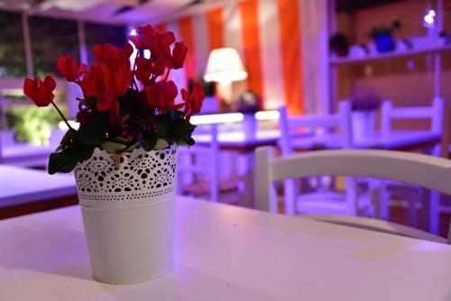 Fotos del hotel - Casa Martini