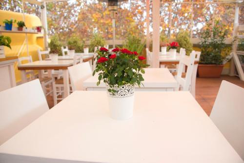 Fotos del hotel - Casa Martini
