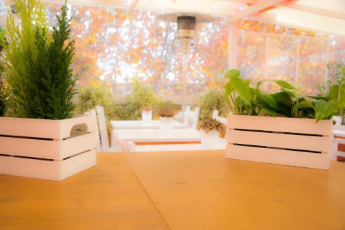 Fotos del hotel - Casa Martini