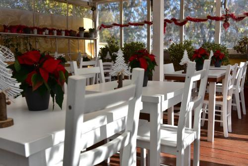 Fotos del hotel - Casa Martini