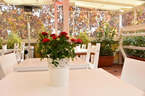 Fotos del hotel - Casa Martini