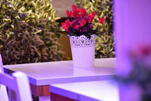 Fotos del hotel - Casa Martini