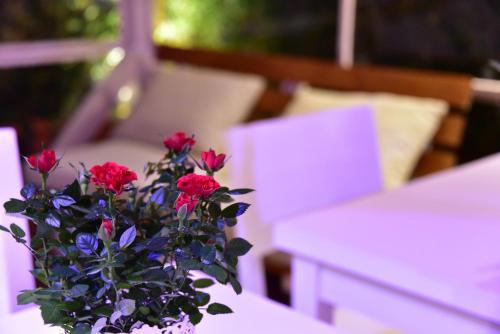 Fotos del hotel - Casa Martini