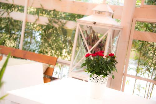 Fotos del hotel - Casa Martini