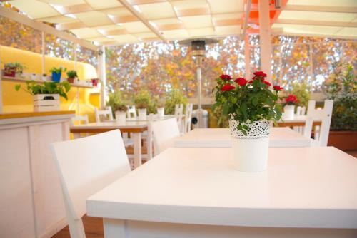 Fotos del hotel - Casa Martini