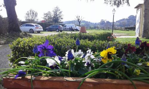 Fotos del hotel - CASALE DEI CENTO ACRI