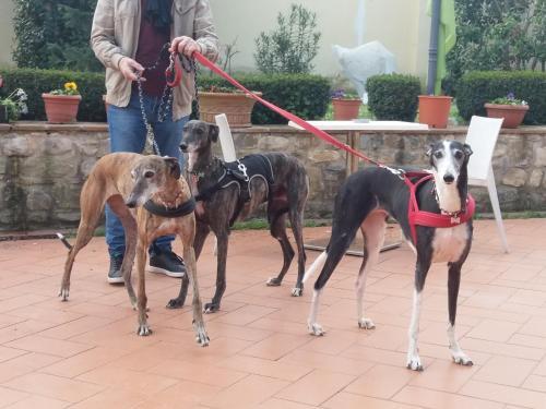 Fotos del hotel - CASALE DEI CENTO ACRI