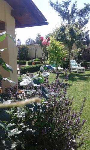 Fotos del hotel - CASALE DEI CENTO ACRI
