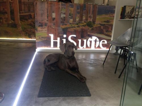 Fotos del hotel - HiSuiteROME