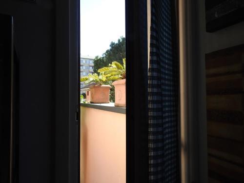 Fotos del hotel - SANSIRO47