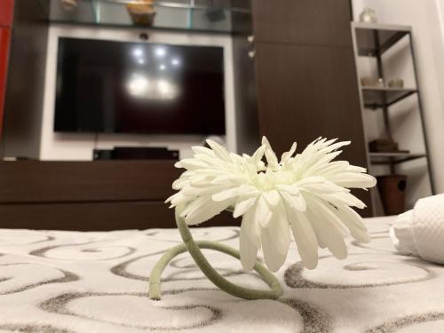 Fotos del hotel - SANSIRO47