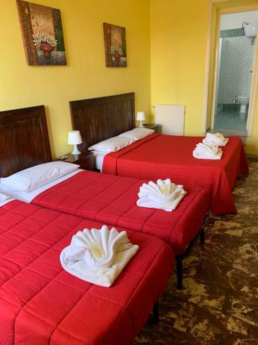 Fotos del hotel - AMICO HOTEL