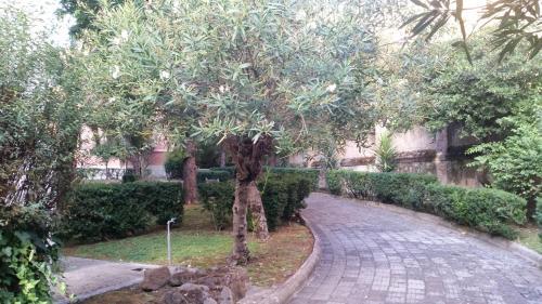 Fotos del hotel - Vecchia Roma Resort