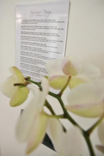 Fotos del hotel - Experience Design Bed&Show