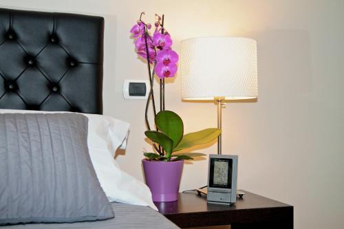 Fotos del hotel - Residenza Mazzini