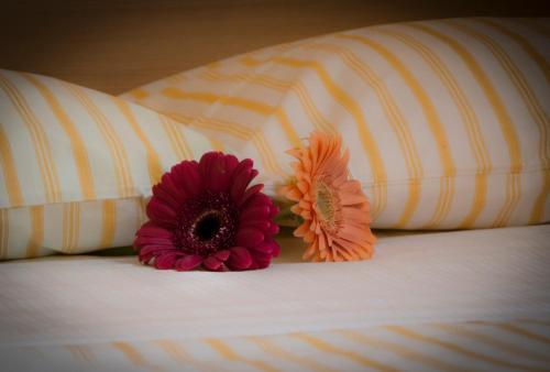 Fotos del hotel - The Rainbow