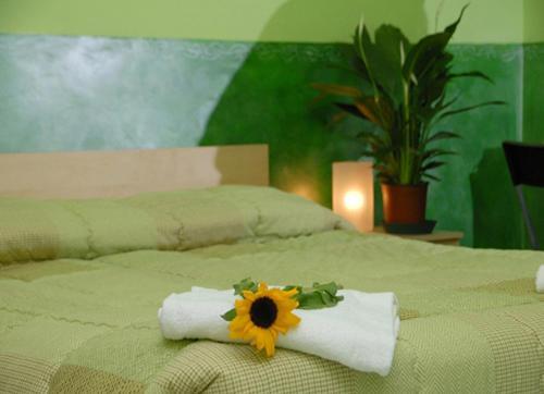 Fotos del hotel - The Rainbow