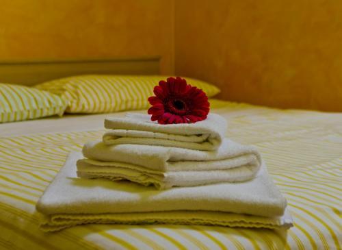 Fotos del hotel - The Rainbow