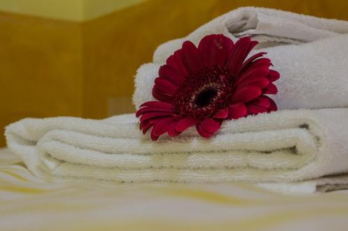 Fotos del hotel - The Rainbow