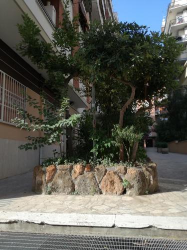 Fotos del hotel - Testa Gioacchino B&B