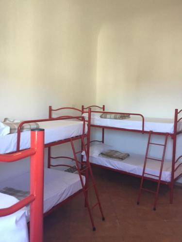 Fotos del hotel - Hotel Paola