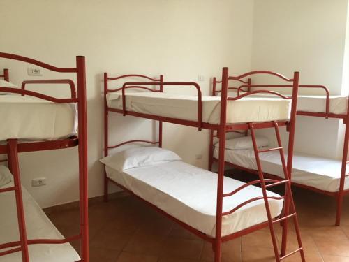 Fotos del hotel - Hotel Paola