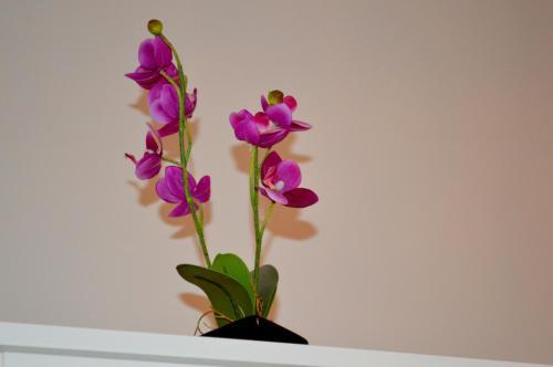 Fotos del hotel - Check-Inn Rooms